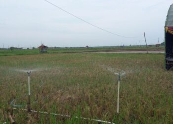 POTRET: Pengairan sawah di Rembang memanfaatkan listrik dari program gerakan listrik masuk sawah (Gelisah). (Dokumentasi untuk Lingkarjateng.id)