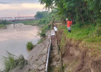 Warga mengecek pemasangan trucuk bambu sebagai tanggul sementara Kali Bodri Desa Kebonharjo, Kecamatan Patebon, Kabupaten Kendal, Jumat, 7 November 2025. (Unggul Priambodo/Lingkarjateng.id)
