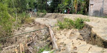 Tanggul Sungai Lusi di Purwodadi Grobogan Longsor, Akses Warga Terancam Putus 1 Kondisi longsoran tanggul Sungai Lusi di Kelurahan Kuripan, Kecamatan Purwodadi, Kabupaten Grobogan. (Ahmad Abror/Lingkarjateng.id)