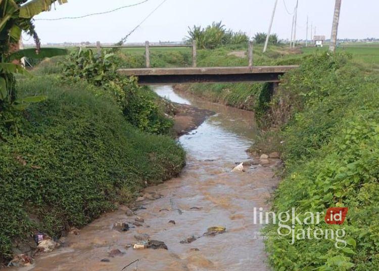 Warga Keluhkan Limbah Industri Tapioka di Margoyoso Pati Cemari Sungai Mbago 25 ILUSTRASI: Aliran Sungai Mbago yang melintasi Desa Bulumanis Lor, Kecamatan Margoyoso, Kabupaten Pati. (Lingkarnews Network)