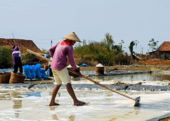 Petani garam sedang menggarap lahan garam di Desa Bulakbaru, Kecamatan Kedung, Jepara. (Dok. DPMPTSP/Lingkarjateng.id)