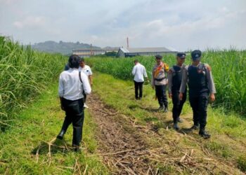 Polsek Jekulo Kudus melakukan identifikasi lokasi penemuan mayat di lahan tebu Blok Blimbing turut Dukuh Tlogo, Desa Gondoharum, Kecamatan Jekulo, Kabupaten Kudus, Senin, 10 November 2025. (Nisa Hafizhotus S/Lingkarjateng.id)