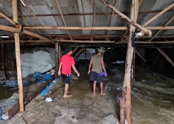 Petani garam mengecek gudang yang terdampak banjir di Desa Ketitang Wetan, Kecamatan Batangan, Kabupaten Pati, Kamis, 11 Desember 2025. (Lingkarnews Network/Lingkarjateng.id)