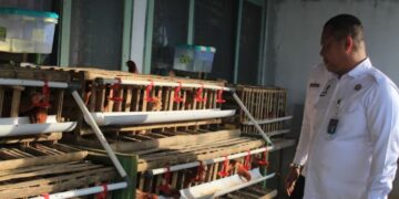 Kepala Kantor Wilayah Direktorat Jenderal Pemasyarakatan (Ditjenpas) Jawa Tengah, Mardi Santoso, meninjau program ketahanan pangan yang dikembangkan Rutan Blora pada Sabtu, 29 November 2025. (Kemenkumham Jateng/Lingkarjateng.id)