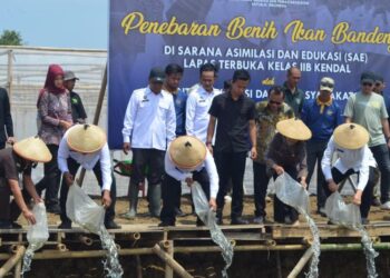 Tim Kanwil Ditjenpas Jawa Tengah bersama Menteri Imigrasi dan Pemasyarakatan (Imipas), Agus Andrianto menebar benih ikan bandeng di tambak Lapas Kendal pada Selasa, 2 Desember 2025. (Humas Kanwil Ditjenpas Jateng/Lingkarjateng.id)
