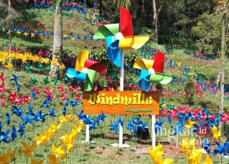 Ratusan Kincir Angin Ramaikan Wisata Linggo Asri Pekalongan Jelang Tahun Baru 25 Deretan ratusan kincir angin berwarna-warni menghiasi kawasan wisata Linggo Asri, menjadi spot foto baru yang menarik perhatian wisatawan jelang libur Tahun Baru 2026. (Fahri Akbar/Lingkarjateng.id)