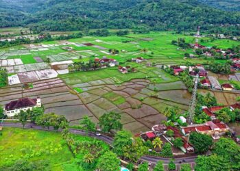 Ilustrasi pemandangan pedesaan di Indonesia. (Pexels-Tom Fisk/Lingkar.news)