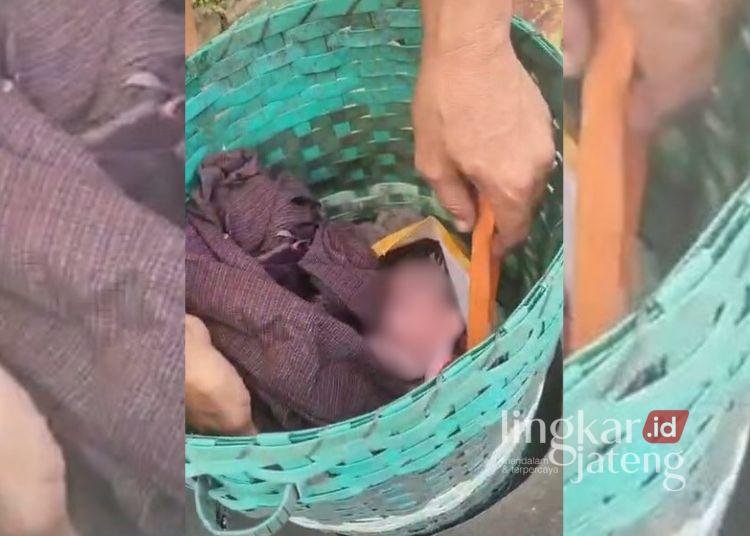 Geger! Warga Puri Pati Temukan Bayi di Tempat Sampah 25 Penemuan bayi di kawasan Perumahan Puri Baru, Kecamatan Pati Kota, Kabupaten Pati, Senin, 8 Desember 2025. (Lingkarjateng.id)