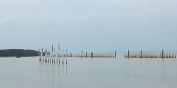 POTRET: Titik pembangunan hybrid sea wall atau tanggul laut di pesisir Kabupaten Demak. (M. Burhanuddin Aslam/Lingkarjateng.id)