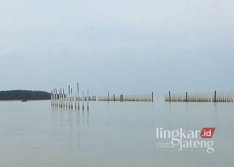 Proyek Awal Hybrid Sea Wall Demak Dibangun di 3 Desa 25 POTRET: Titik pembangunan hybrid sea wall atau tanggul laut di pesisir Kabupaten Demak. (M. Burhanuddin Aslam/Lingkarjateng.id)