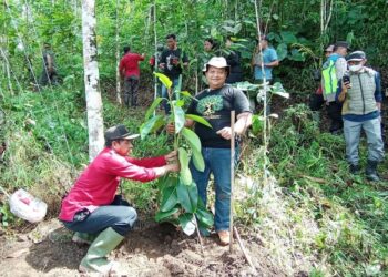 Relawan lintas komunitas bersama pemerintah desa melakukan penanaman pohon di sekitar sumber mata air Desa Trajumas, Kecamatan Kandangserang, Kabupaten Pekalongan, Sabtu, 20 Desember 2025. (Fahri Akbar/Lingkarjateng.id)