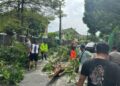 Pohon tumbang akibat diterjang angin kencang menutup jalan Stadion Kridanggo, Kota Salatiga pada Jumat, 9 Januari 2026. (Humas Polres Salatiga/Lingkarjateng.id)