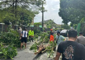 Pohon tumbang akibat diterjang angin kencang menutup jalan Stadion Kridanggo, Kota Salatiga pada Jumat, 9 Januari 2026. (Humas Polres Salatiga/Lingkarjateng.id)