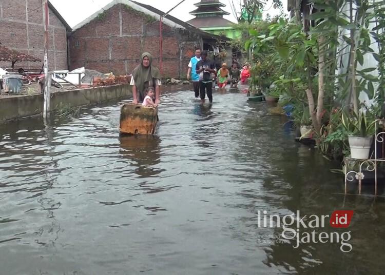 Banjir Masih Kepung 8 Desa di Sayung Demak, Warga Minta Normalisasi Kali Dombo 25 Warga Desa Sayung, Kecamatan Sayung, Kabupaten Demak, menerjang banjir yang masih merendam jalan desa setempat, Rabu, 28 Januari 2026. (M. Burhanuddin Aslam/Lingkarjateng.id)