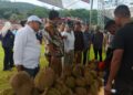 Bupati Kendal, Dyah Kartika Permanasari, saat menghadiri Festival Durian di Desa Kebongembong, Kecamatan Pageruyung, Sabtu, 17 Januari 2026. (Anik Winda/Lingkarjateng.id)