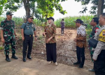 Bupati Kendal Tinjau Lahan untuk Pembangunan Batalyon Infanteri TP, Ini Lokasinya 33 Bupati Kendal, Dyah Kartika Permanasari, meninjau lokasi lahan Perhutani Petak 87 di Desa Jatirejo, Kecamatan Ngampel, Kendal yang akan direncanakan untuk pembangunan Batalyon Infanteri Teritorial Pembangunan (Yon TP), Selasa 6 Januari 2026.