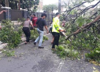 GOTONG-ROYONG: Tim gabungan membersihkan batang pohon tumbang akibat diterjang angin kencang di kawasan Stadion Kridanggo, Salatiga, Jumat, 9 Januari 2026. (Humas Polres Salatiga/Lingkarjateng.id)