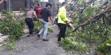 GOTONG-ROYONG: Tim gabungan membersihkan batang pohon tumbang akibat diterjang angin kencang di kawasan Stadion Kridanggo, Salatiga, Jumat, 9 Januari 2026. (Humas Polres Salatiga/Lingkarjateng.id)
