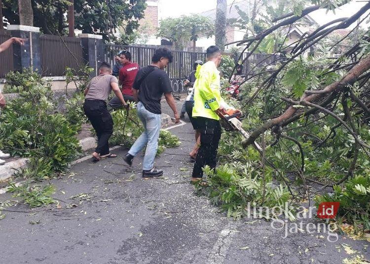 Cuaca Ekstrem, BPBD Salatiga Perkuat Edukasi Kesiapsiagaan Warga 25 GOTONG-ROYONG: Tim gabungan membersihkan batang pohon tumbang akibat diterjang angin kencang di kawasan Stadion Kridanggo, Salatiga, Jumat, 9 Januari 2026. (Humas Polres Salatiga/Lingkarjateng.id)