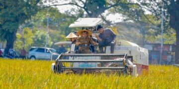 Tekan Alih Fungsi Lahan, Pemprov Jateng Bebaskan PBB Sawah Petani 17 Gubernur Jawa Tengah, Ahmad Luthfi, saat mengikuti panen raya padi. (Humas Pemprov Jateng/Lingkarjateng.id)
