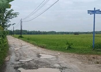 POTRET: Jalan penghubung lintas kecamatan (Winong-Gabus-Tambakromo) di Desa Kudur, Kecamatan Winong, Kabupaten Pati. (Lingkarnews Network)