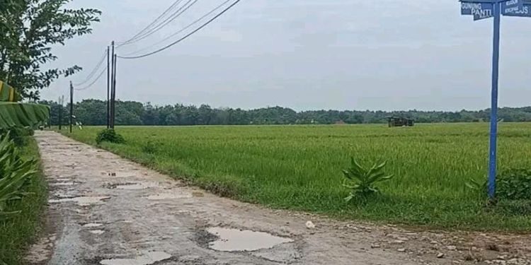 Jalan Jetak Juwana hingga Tayu Dukuseti Pati Masuk Rencana Perbaikan Permanen