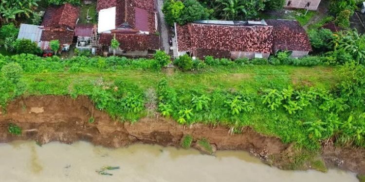 Kendal 20260124 115211 0000