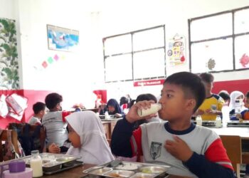 Kepala BGN Bilang MBG Tak Usah Pakai Susu Jika Tidak Ada Sumber Lokal 31 ILUSTRASI: Seorang siswa SD mengkonsumsi susu segar hasil produksi peternak lokal dalam Program Makan Bergizi Gratis (MBG) di Cimahi, Jawa Barat. (Antara/Lingkarjateng.id)