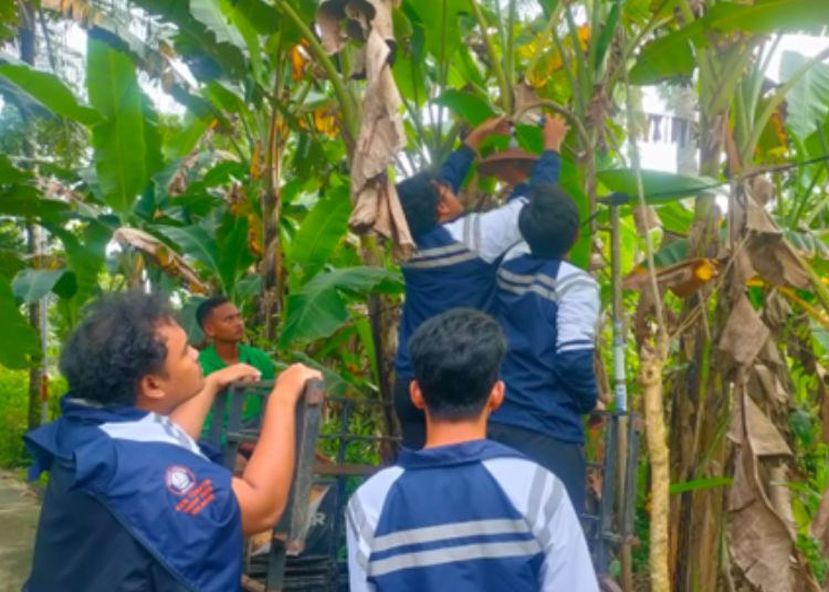 Mahasiswa KKN T 36 UNDIP Fasilitas Penerangan di Desa Tangkisan Purworejo1 1