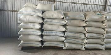 Pemkab Pekalongan Miliki 34,5 Ton Cadangan Gabah untuk Kondisi Darurat 14 Stok gabah cadangan milik Pemerintah Kabupaten Pekalongan yang disimpan di gudang Kecamatan Bojong. (Humas DKPP Kabupaten Pekalongan/Lingkarjateng.id)