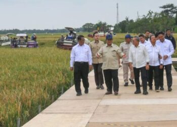 Presiden Prabowo Subianto (ketiga kiri) didampingi sejumlah menteri meninjau sawah dalam acara panen raya dan pengumuman swasembada pangan nasional 2025 di Cilebar, Karawang, Jawa Barat, Rabu, 7 Januari 2026. (Antara/Lingkarjateng.id)