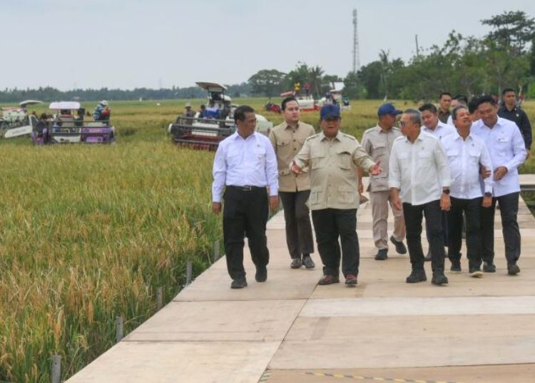 Prabowo Akan Buktikan Indonesia Bisa Swasembada Pangan Tiap Tahun 25 Presiden Prabowo Subianto (ketiga kiri) didampingi sejumlah menteri meninjau sawah dalam acara panen raya dan pengumuman swasembada pangan nasional 2025 di Cilebar, Karawang, Jawa Barat, Rabu, 7 Januari 2026. (Antara/Lingkarjateng.id)