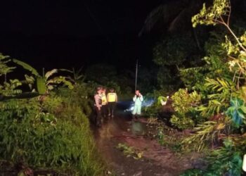 Dampak jebolnya tanggul Sungai Bago turut Kecamatan Margoyoso, Kabupaten Pati pada Jumat, 9 Januaro 2026. (Lingkarnews Network)