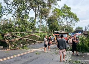 POHON TUMBANG: Sejumlah warga gotong-royong memotong batang pohon tumbang yang menutupi jalan raya Semarang-Solo Desa Bener, Kecamatan Tengaran, Kabupaten Semarang, Sabtu, 24 Januari 2026. (Dok for Lingkarjateng.id)