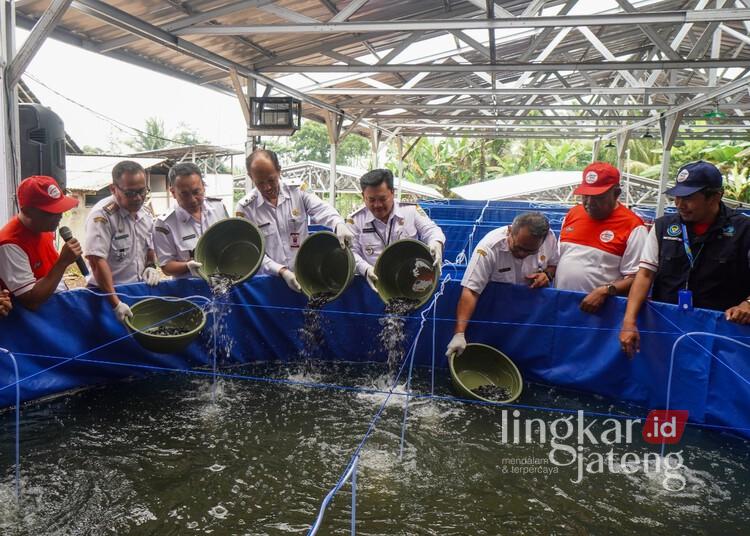 Koperasi Merah Putih di Salatiga Punya Usaha Budidaya Lele Metode Bioflok 25 Wali Kota Salatiga Robby Hernawan saat menebar lele di kolam budidaya ikan tematik Koperasi Kelurahan Merah Putih (KKMP) Kauman Kidul, Kecamatan Sidorejo, Rabu, 21 Januari 2026. (Dok. Prokompim Setda Salatiga/Lingkarjateng.id)