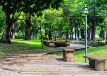 Hutan Kota BSD, Tangerang Selatan (linktown)