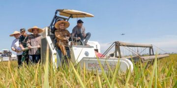 Demi Jaga Lahan Pertanian, Pemprov Jateng Siapkan Sanksi Pidana hingga Insentif PBB 22 Gerakan swasembada pangan di Jawa Tengah. (Dok. Humas Pemprov Jateng/Lingkarjateng.id)