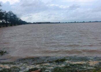 Ribuan Hektare Sawah di Jepara Puso Akibat Banjir, Petani Rugi Rp25,2 Miliar 25 Kondisi sawah petani di Jepara yang terendam banjir. (Tomi Budianto/Lingkarjateng.id)