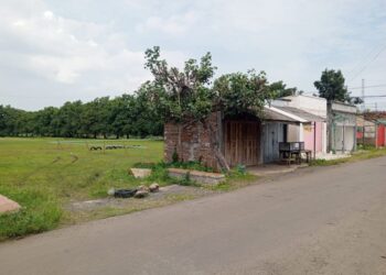 Lapangan Desa Tambaharjo, Kecamatan/Kabupaten Pati yang rencananya bakal dibangun gerai Kopdes Merah Putih. (Lingkarnews Network)