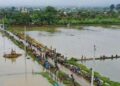 Pantauan udara sawah di Kabupaten Pati yang terendam banjir. (Lingkarnews Network)