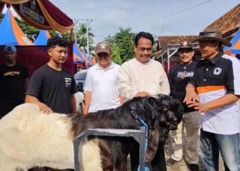 Bupati Rembang Harno saat menghadiri Pentas dan Pameran Kambing Kaligesing, Minggu, 25 Januari 2026. (Vikcy Rio/Lingkarjateng.id)