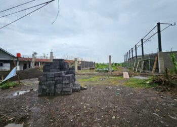 78 Titik Lahan Pertanian di Kendal Diusulkan Jadi Lokasi Gerai Kopdes Merah Putih 33 Lokasi pembangunan gerai Koperasi Desa Merah Putih Desa Nawangsari, Kecamatan Weleri, Kabupaten Kendal. (Anik Kustiani/Lingkarjateng.id)