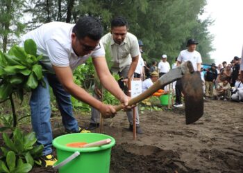 Wakil Ketua DPRD Jawa Tengah, Mohammad Saleh, ikut menanam pohon dalam peluncuran Gerakan Jawa Tengah ASRI di Pantai Jodo, Desa Sideorejo, Kecamatan Gringsing, Kabupaten Batang, Selasa, 24 Februari 2026. (Lingkarjateng.id)