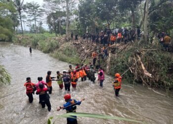 Nadia Korban Hanyut di Sungai Karangmalang Semarang Ditemukan Meninggal Tertutup Ranting