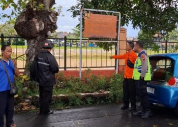 Hujan-Angin Sapu Kota Semarang, 1 Warga Tewas Tertimpa Pohon Tumbang