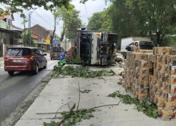 Truk Muatan Mie Instan Terguling di Pantura Ketapang Kendal, Ini Kronologinya