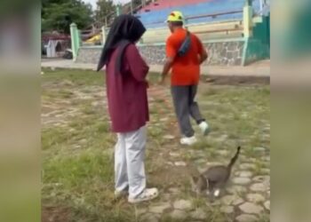 Pensiunan ASN Blora Diduga Jadi Pelaku Penendangan Kucing, Terancam 1,6 Tahun Bui 25 Potongan video yang memperlihatkan aksi tidak terpuji oknum menendang kucing. (Dok. Pribadi/Lingkarjateng.id)