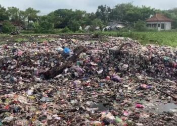 TPS Cabean Demak Jadi Sorotan, Perbaikan Sistem Pengelolaan Dinilai Mendesak