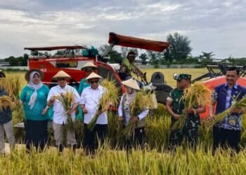 Anggota DPRD Pati Harap Keberhasilan Panen 10 Ton/Hektare Jadi Motivasi Petani