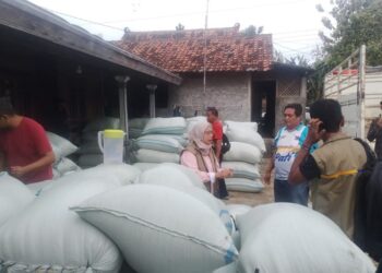 Swasembada Pangan, DPRD Pati Dukung Bulog Serap Hasil Panen Petani